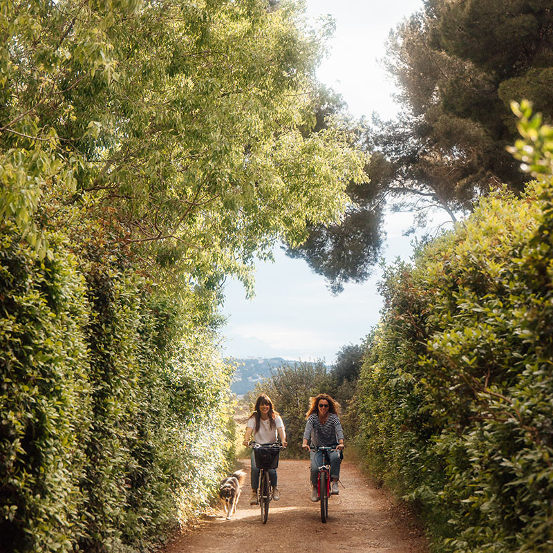 Rando vélo depuis le domaine de Stony Le domaine de stony est accueil vélo pour tous les cyclistes