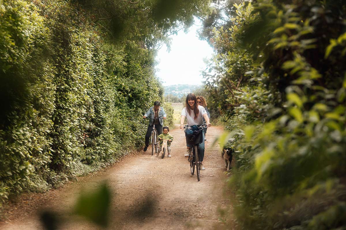 Balade à vélo en pleine nature à Frontignan Balade à vélo en pleine nature à Frontignan, dans un domaine viticole, près de Sète