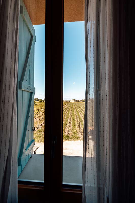 Chambre double avec vue sur les vignes Vue face au vignes depuis la chambre double avec salle de bain privative
