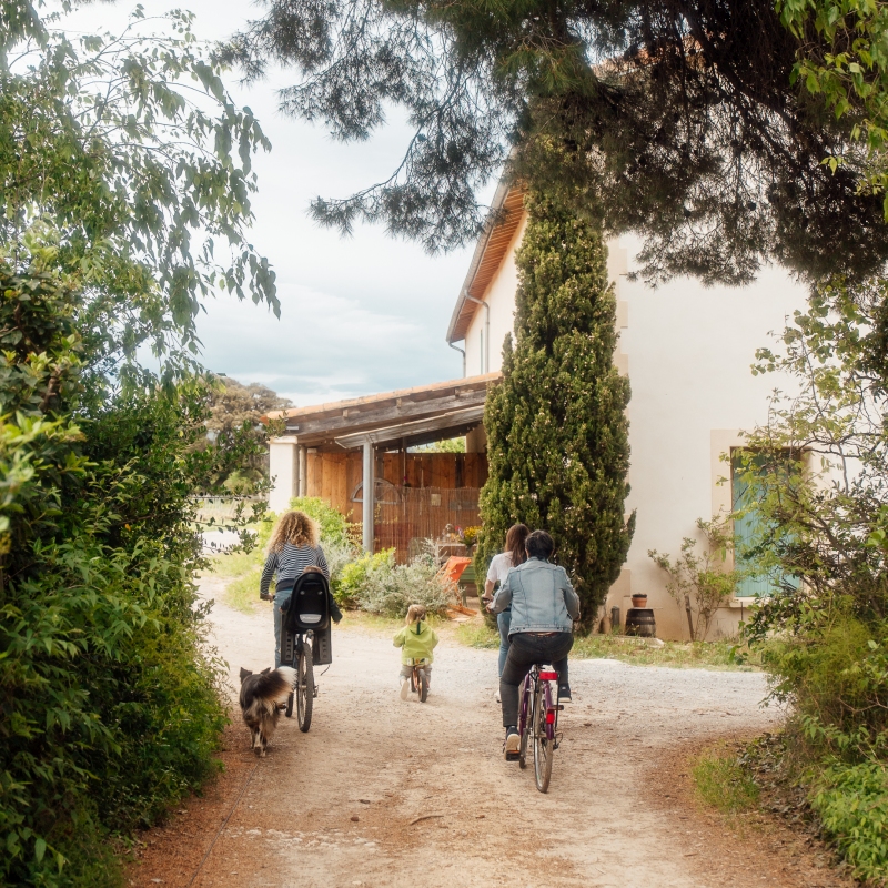 Accueil vélo et balade dans les vignes Accueil vélo pour le domaine de Stony et ses gîtes