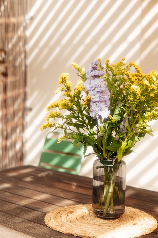 Terrasse du gite Garance Une terrase ombragée et son mobilier en bois et vert face aux vignes