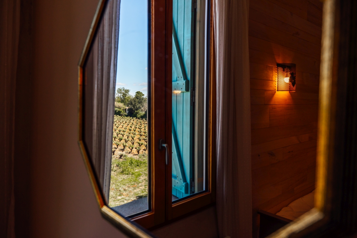 Vue sur les vignes, depuis le gîte Garance Vue sur les vignes, pour un séjour au coeur du domaine de stony