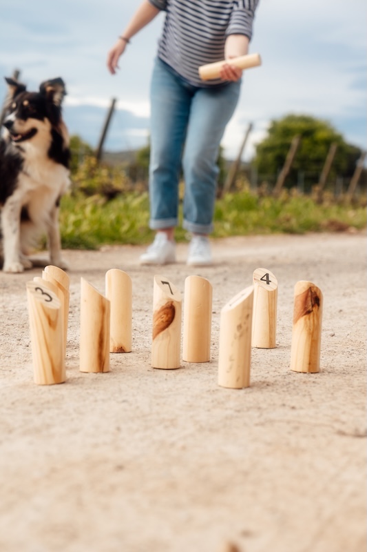 Molky au milieu des vignes Au milieu des vignes, jeux molky ou concours de pétanque