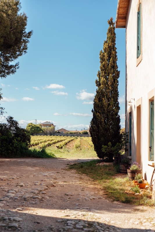 Batisse du gîte viticole Batisse du gîte Garance et les vignes de Frontignan