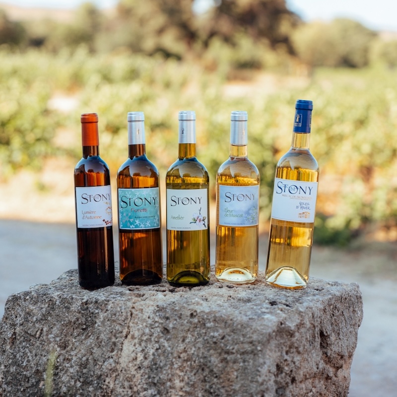 Les vins du domaine du château de Stony à Frontignan avec notamment le Muscat AOP, muscat sec, vendange tardive.