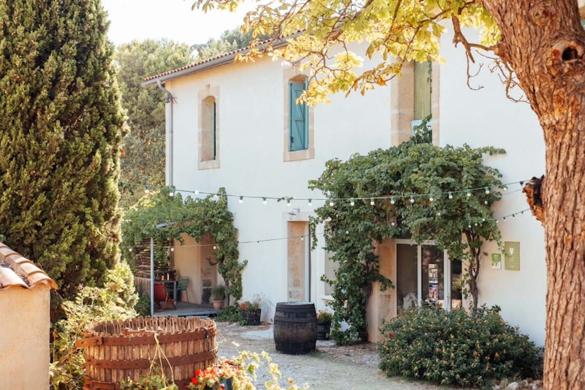 Batisse des gîtes dans le domaine viticole La batîsse rénovée des gîtes avec sa cour intérieur et le grand marronnier