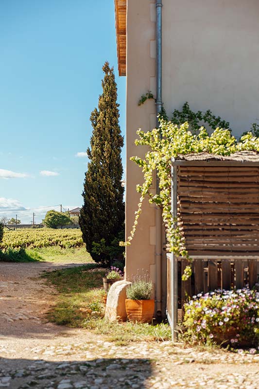 La terrasse privative ombragée et vigne au coin de la batîsse des gîtes