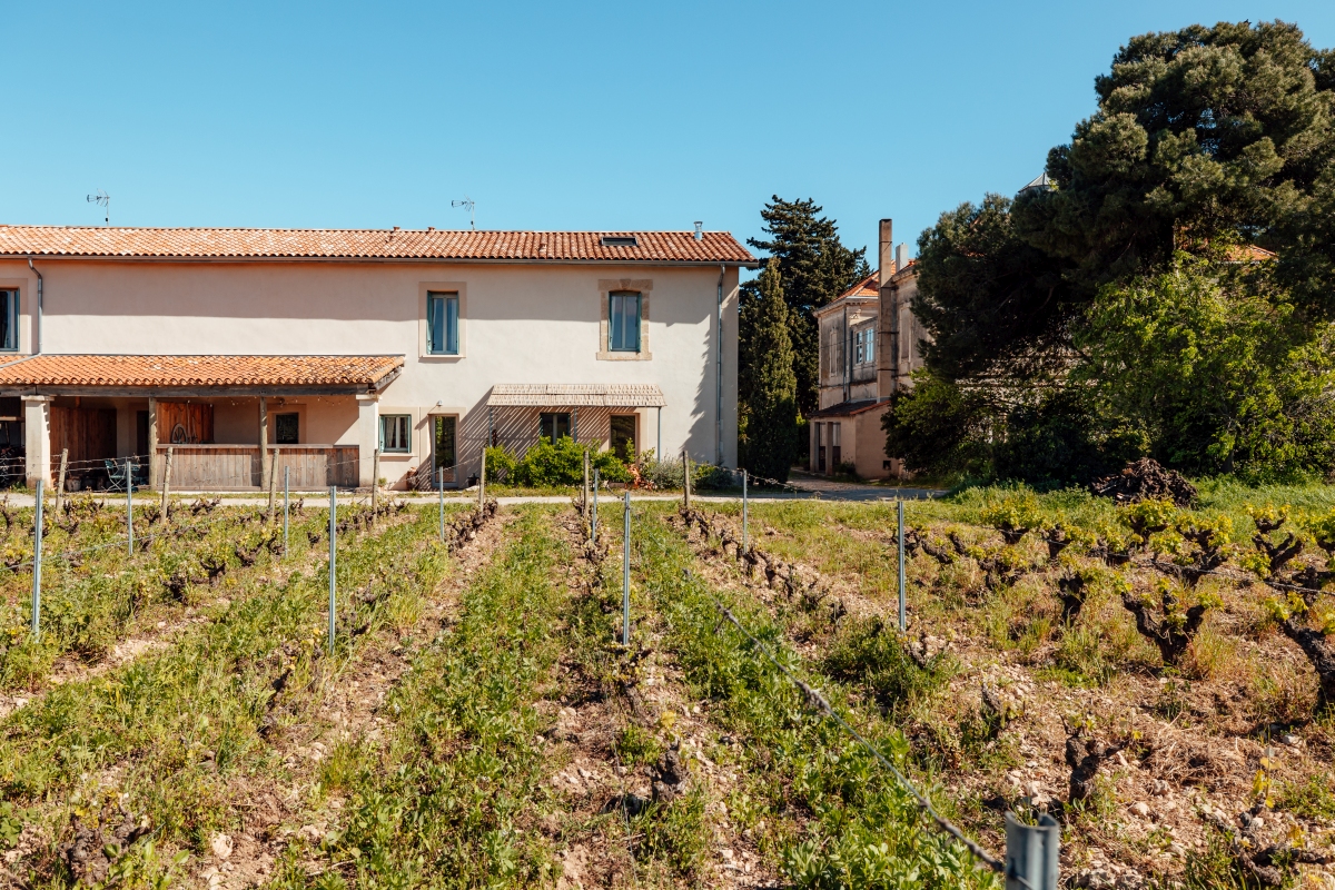 La batisse blanche et volets vert bleu des gîtes du domaine viticole