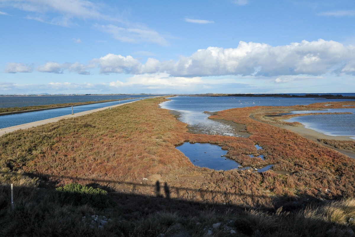 Les plages sauvages des aresquiers entre Frontignan et Vic-la-Gardiole